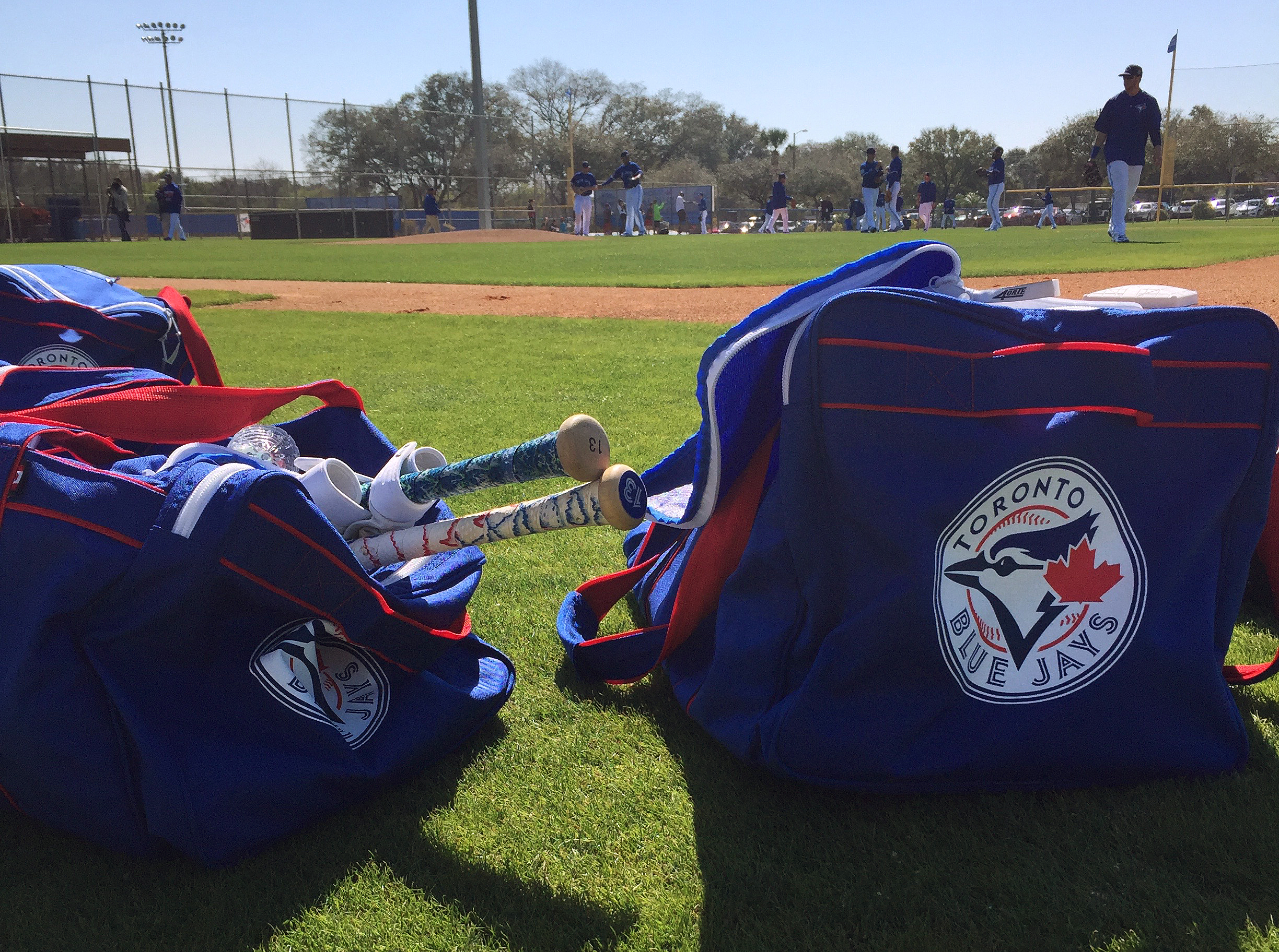 Official Toronto Blue Jays bags, baseball bats, shoes and gloves rest on the field as players train in the background at spring training.