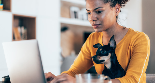 Young afro-american woman sitting with her pet dog and using laptop