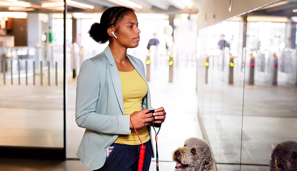 A photo of a women with a white cane and dog wearing earbuds and using a Hable One device. 