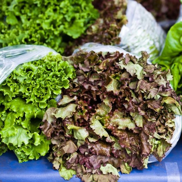 bags of lettuce are stacked around each other, leaves of green and purple filling the image