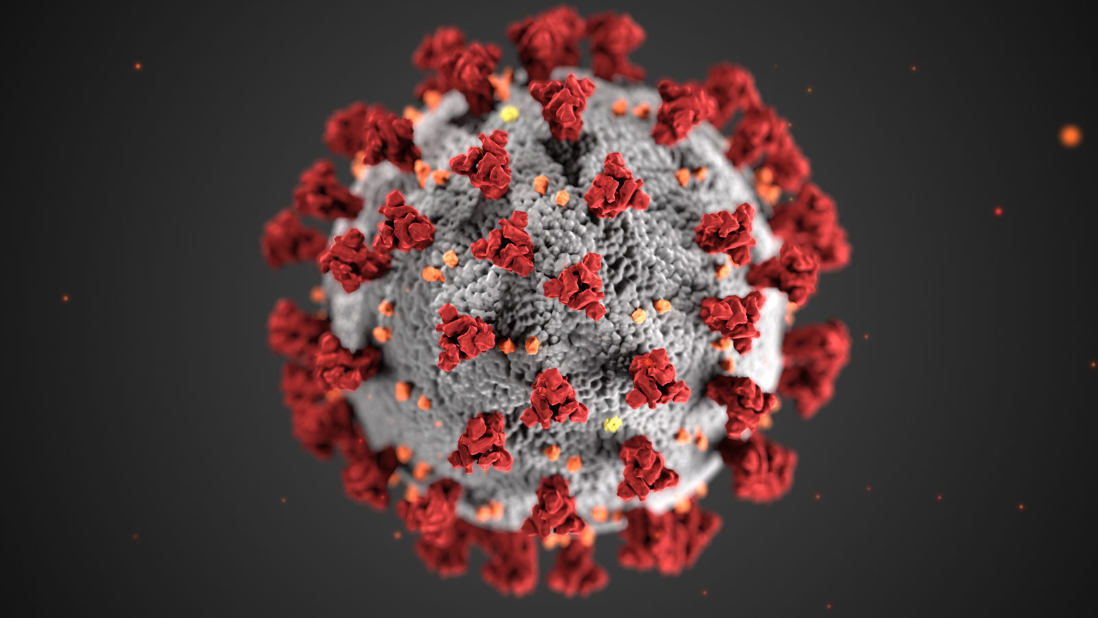 Covid virus