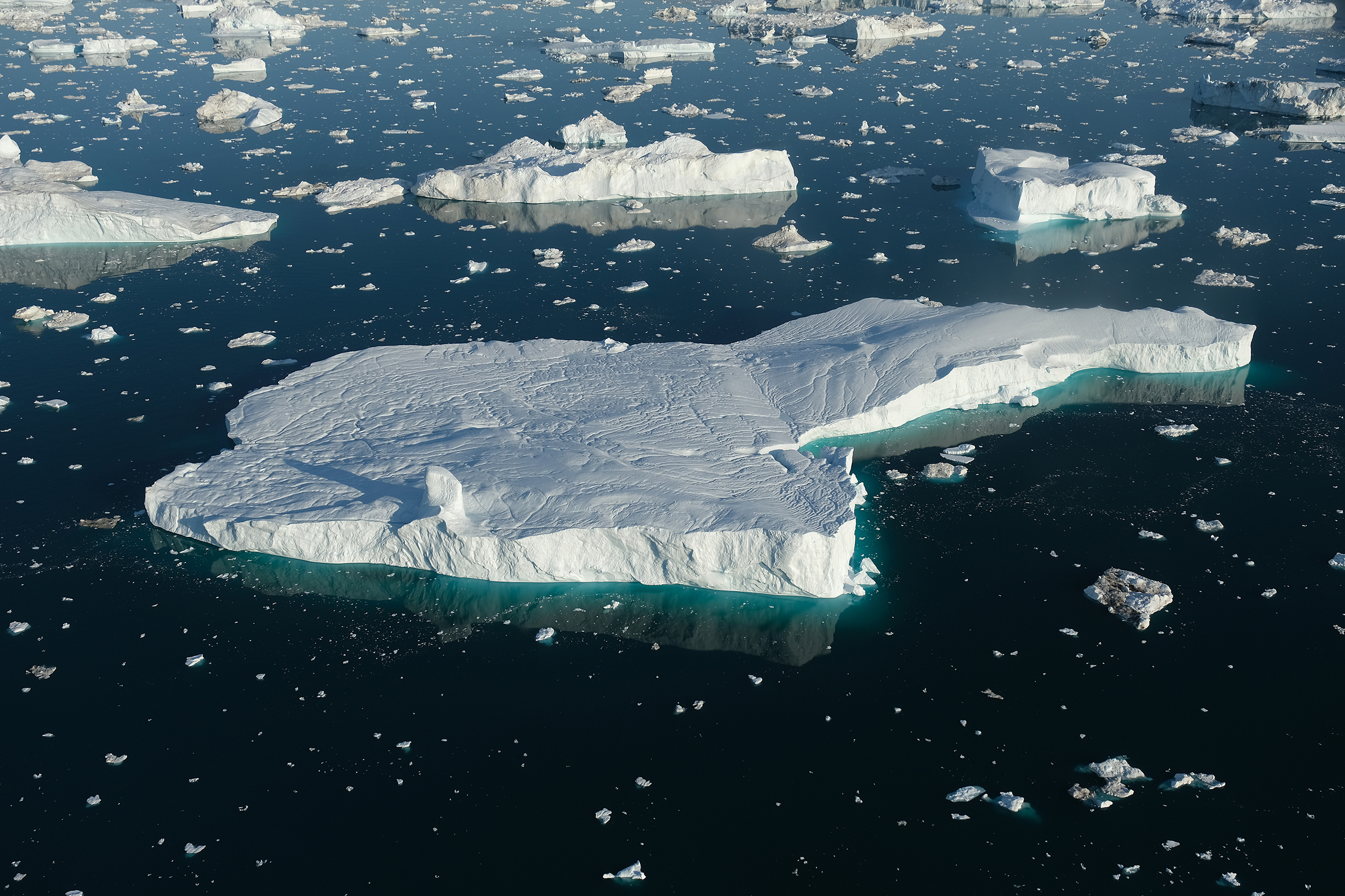 Icebergs floating in the ocean
