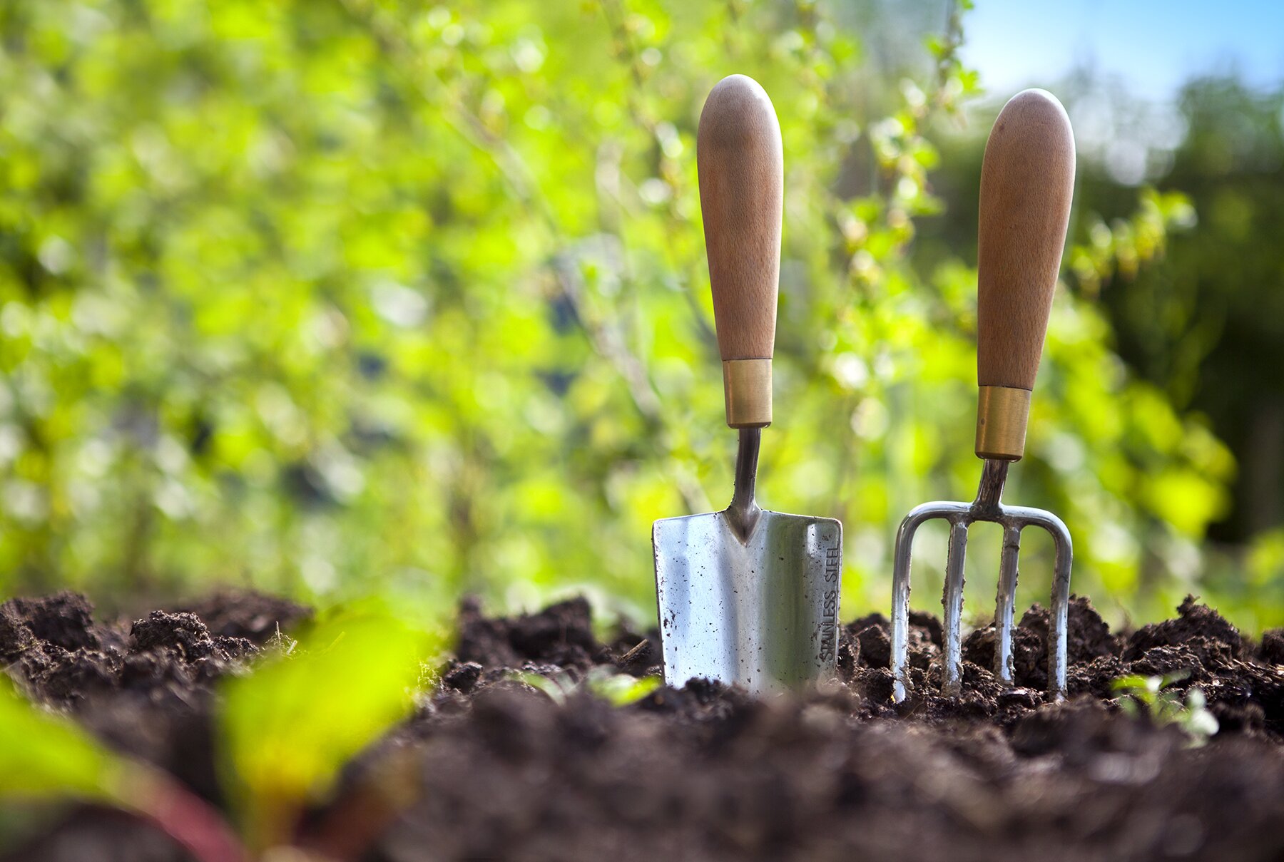 Gardening tools in dirt