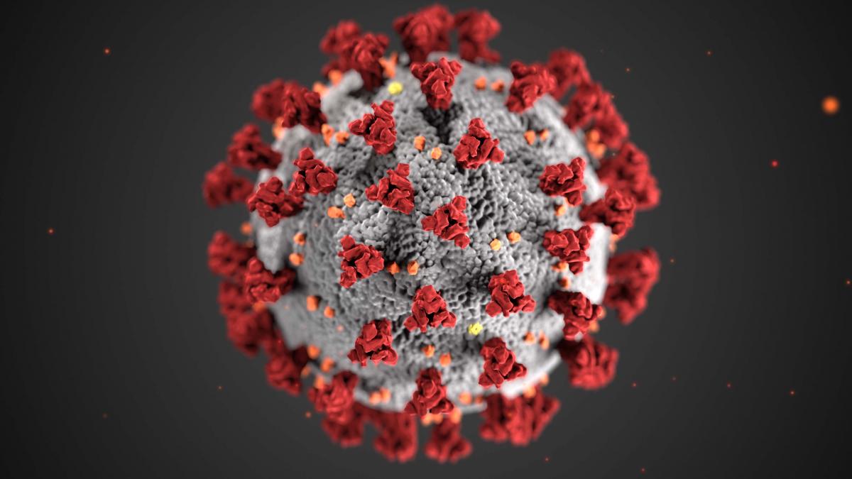 Covid-19 virus 