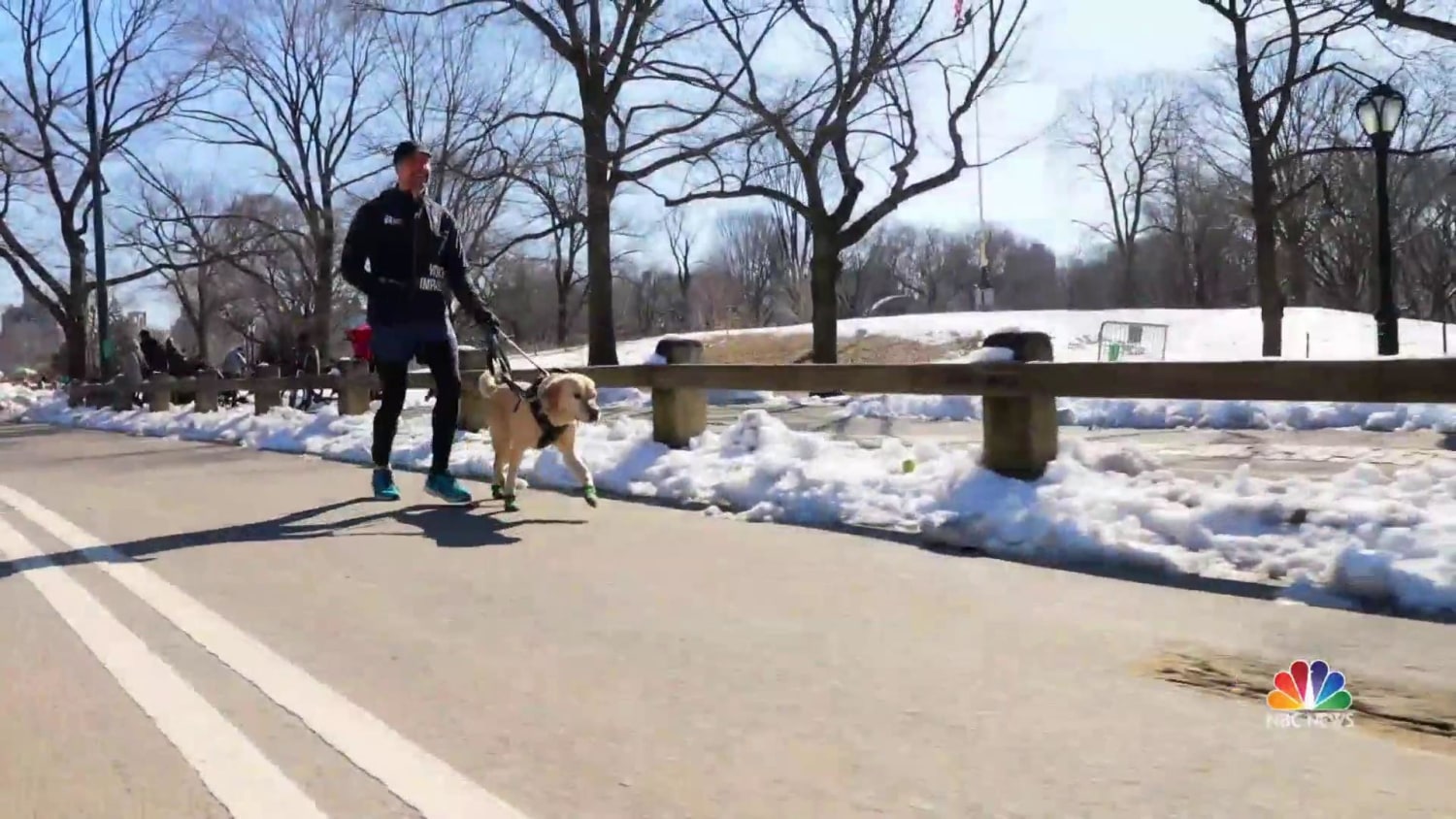A guide dog and it's owner on a walk in the winter