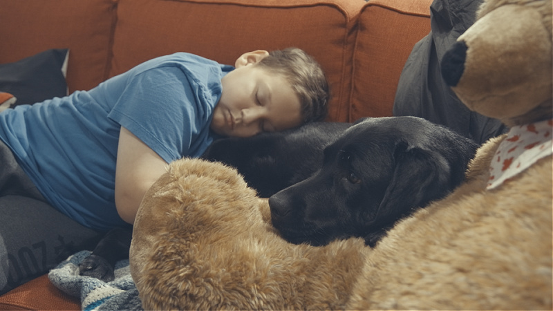 Ollie Acosta-Pickering lies on a couch with two dogs.